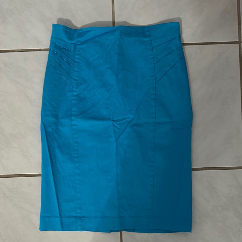 Blue Women's Skirt